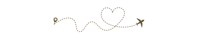 avión