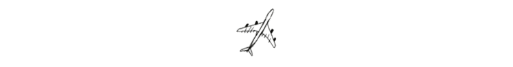 AVION