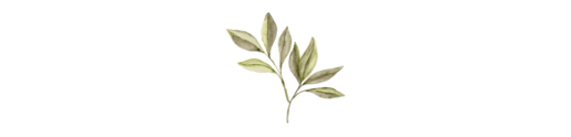 Copia de Javiera y Felipe (3)