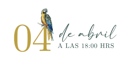 Copia de Palmeras (5) (1)