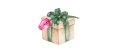 REGALO