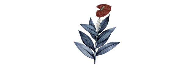 Flor