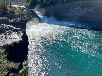 WhatsApp Image 2025-02-18 at 16.30.40 copia