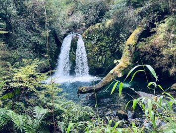 WhatsApp Image 2025-02-18 at 16.30.41